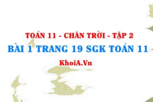 Bài 1 trang 19 Toán 11 Tập 2 Chân trời sáng tạo